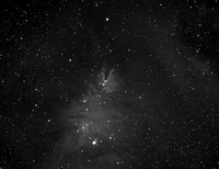 Cone Nebula and Christmas Tree Cluster (NGC 2264)