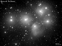 Messier 45: The Pleiades (Monochrome)