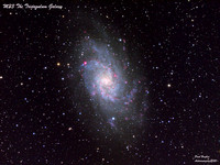 Messier 33: The Triangulum Galaxy