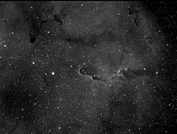 IC 1396: The Elephant Trunk Nebula